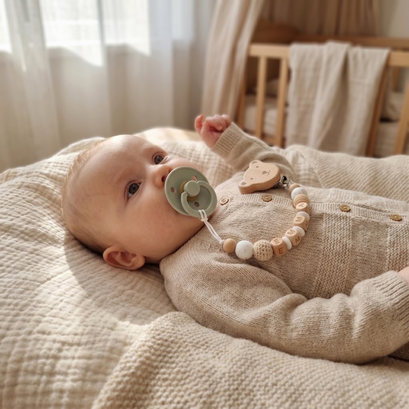 Personalized Pacifier Clip Cus - đánh giá và giá Baby Pacifier Clip